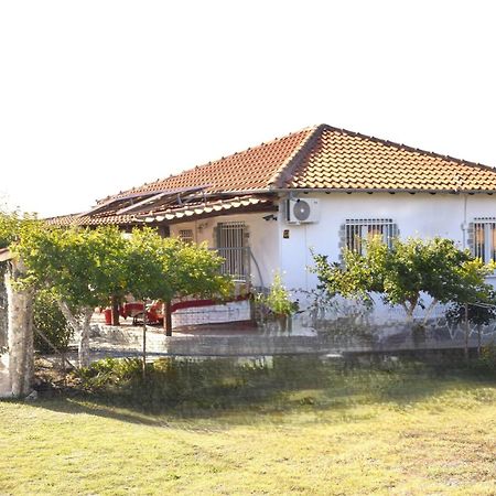 Amarantos Beautiful Garden House Villa Metokhion Patriotikon Exteriör bild